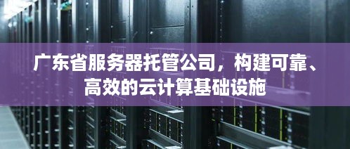 广东省服务器托管公司，构建可靠、高效的云计算基础设施