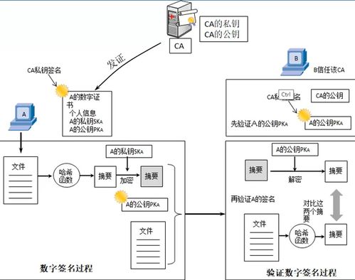 托管服务器需要注意哪些？——确保您的数据安全与业务稳定的关键指南