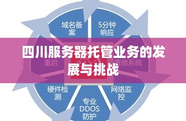 四川服务器托管业务的发展与挑战