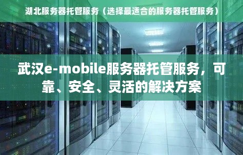 武汉e-mobile服务器托管服务，可靠、安全、灵活的解决方案