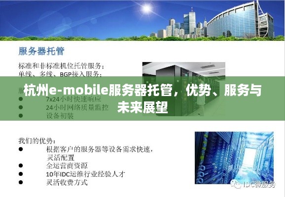 杭州e-mobile服务器托管，优势、服务与未来展望