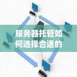 服务器托管如何选择合适的线路？——从需求到实践的全面指南