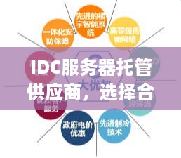 IDC服务器托管供应商，选择合适的合作伙伴，优化企业IT基础设施