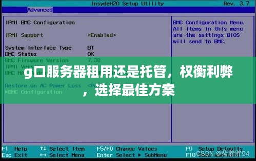 g口服务器租用还是托管，权衡利弊，选择最佳方案