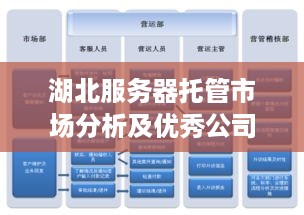 湖北服务器托管市场分析及优秀公司推荐