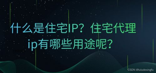 美国IP代理服务器托管，保护隐私，突破地理限制的最佳选择