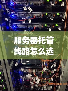 服务器托管线路怎么选？——从需求出发，选择最适合你的网络解决方案