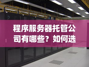 程序服务器托管公司有哪些？如何选择合适的托管服务提供商