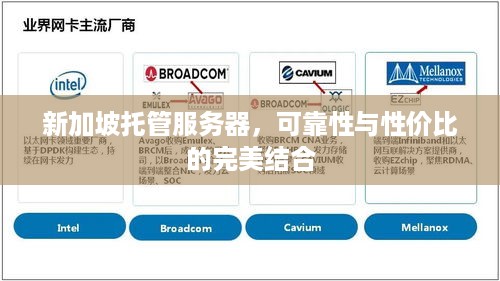 新加坡托管服务器，可靠性与性价比的完美结合