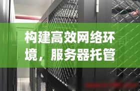 构建高效网络环境，服务器托管独享100m的全面解析