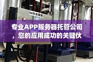 专业APP服务器托管公司，您的应用成功的关键伙伴