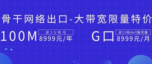 服务器租用托管100M:选择合适的服务商以满足您的业务需求