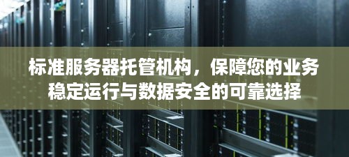 标准服务器托管机构，保障您的业务稳定运行与数据安全的可靠选择