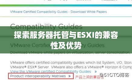 探索服务器托管与ESXI的兼容性及优势