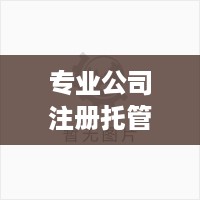 专业公司注册托管服务器，为您的业务提供安全、可靠和高效的解决方案