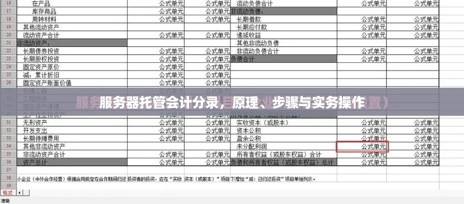 服务器托管会计分录，原理、步骤与实务操作