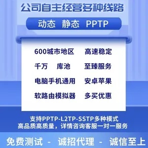 专业手机PPTP服务器托管公司，为您提供高效、稳定的网络服务