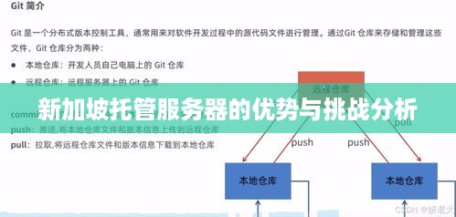 新加坡托管服务器的优势与挑战分析