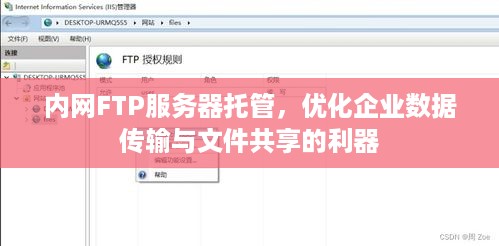内网FTP服务器托管，优化企业数据传输与文件共享的利器