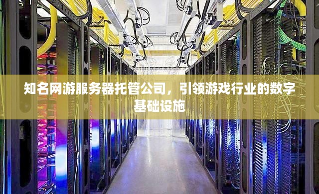 知名网游服务器托管公司，引领游戏行业的数字基础设施