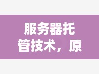 服务器托管技术，原理、优势与应用