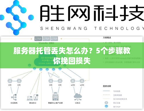 服务器托管丢失怎么办？5个步骤教你挽回损失