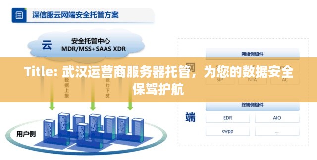 Title: 武汉运营商服务器托管，为您的数据安全保驾护航