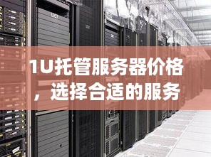 1U托管服务器价格，选择合适的服务器解决方案以满足您的业务需求