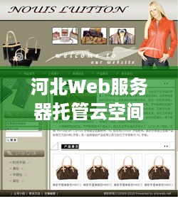 河北Web服务器托管云空间，为您的网站提供安全、可靠、高效的托管服务