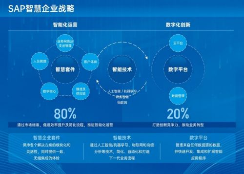 服务器托管，博大网人公司助力企业数字化转型之路