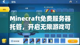 Minecraft免费服务器托管，开启无限游戏可能性的钥匙