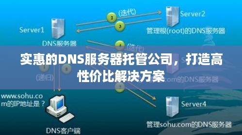 实惠的DNS服务器托管公司，打造高性价比解决方案