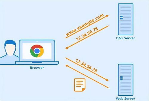 实惠的DNS服务器托管公司，打造高性价比解决方案