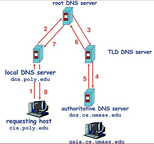 实惠的DNS服务器托管公司，打造高性价比解决方案