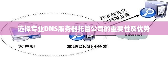 选择专业DNS服务器托管公司的重要性及优势