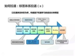 托管服务器数据备份策略与实践