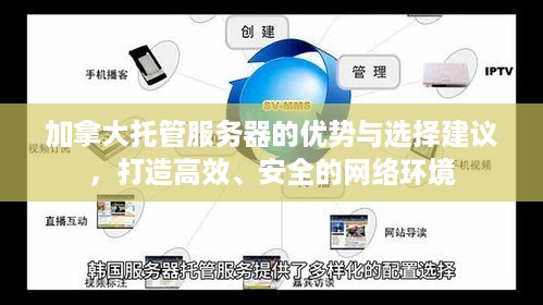 加拿大托管服务器的优势与选择建议，打造高效、安全的网络环境