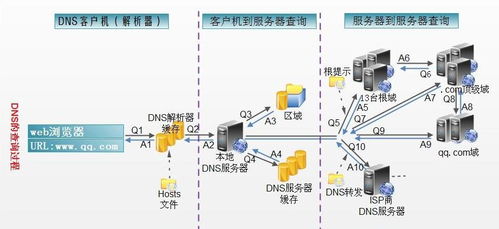 详解服务器托管的全流程及其重要性