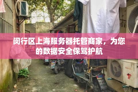 闵行区上海服务器托管商家，为您的数据安全保驾护航