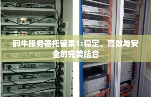 铜牛服务器托管果1:稳定、高效与安全的完美结合