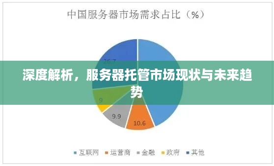 深度解析，服务器托管市场现状与未来趋势