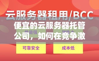 便宜的云服务器托管公司，如何在竞争激烈的市场中找到最佳选择