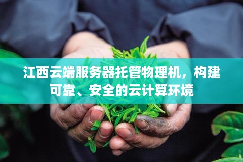 江西云端服务器托管物理机，构建可靠、安全的云计算环境