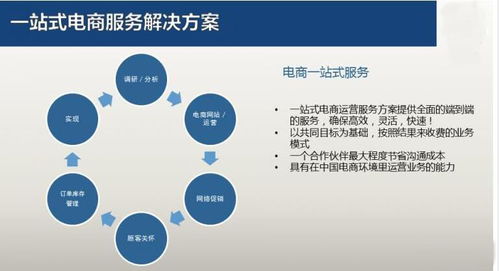 店铺托管服务器，全方位解决方案助力电商运营