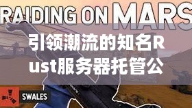 引领潮流的知名Rust服务器托管公司，为何选择它们？