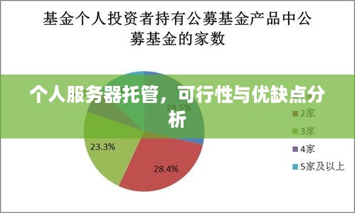 个人服务器托管，可行性与优缺点分析