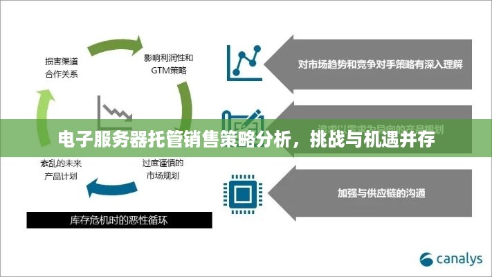 电子服务器托管销售策略分析，挑战与机遇并存