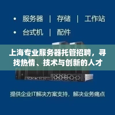 上海专业服务器托管招聘，寻找热情、技术与创新的人才加入我们的团队