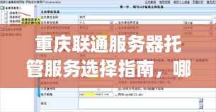 重庆联通服务器托管服务选择指南，哪家运营商更值得信赖？