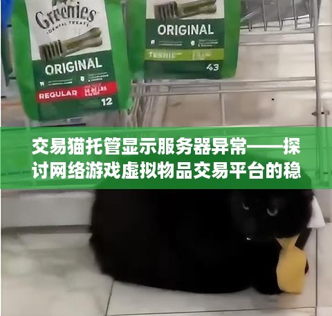 交易猫托管显示服务器异常——探讨网络游戏虚拟物品交易平台的稳定性与可靠性